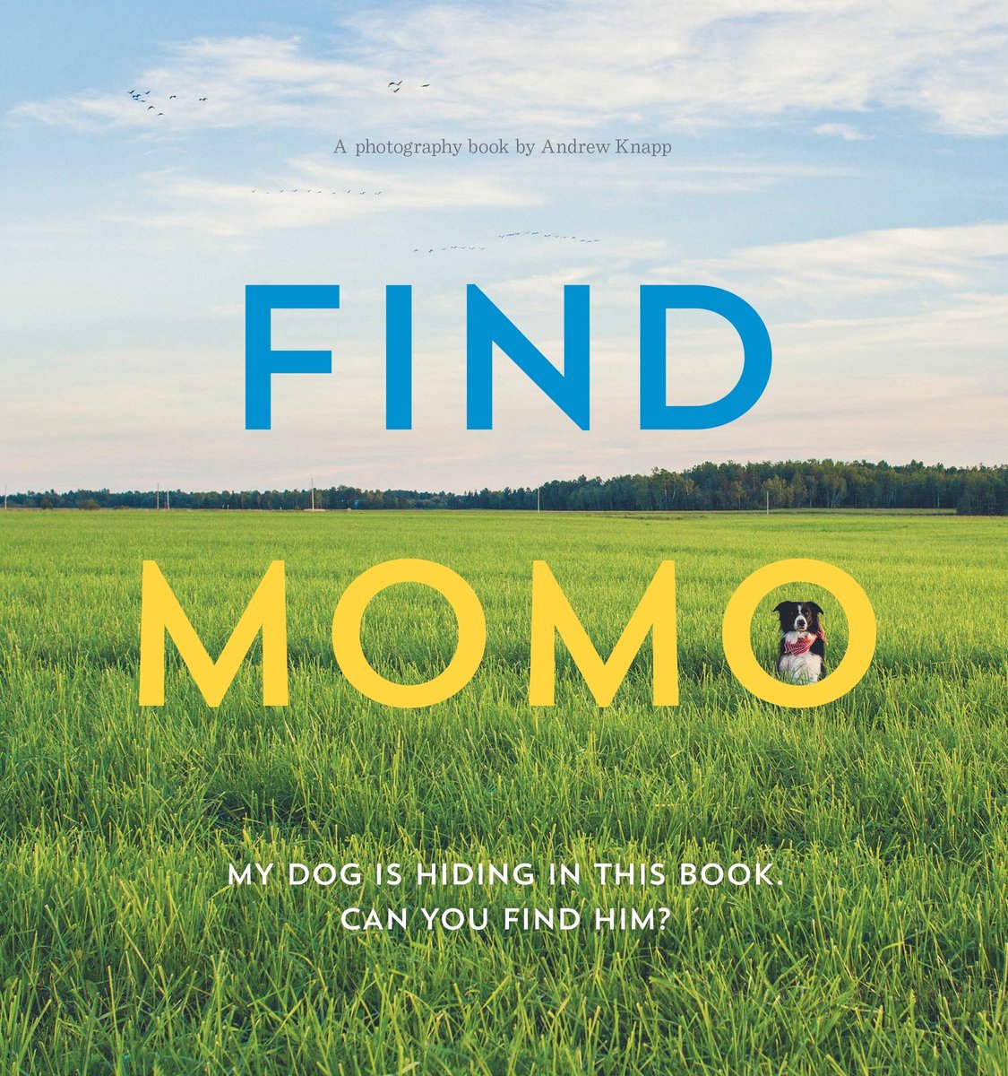 Finde Momo