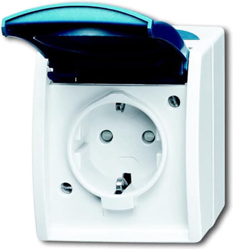 Busch-Jaeger ABB 2cka002083a0842 Schutzkontaktsteckdose IP44 grau-weiß (RAL 7035), blaugrün