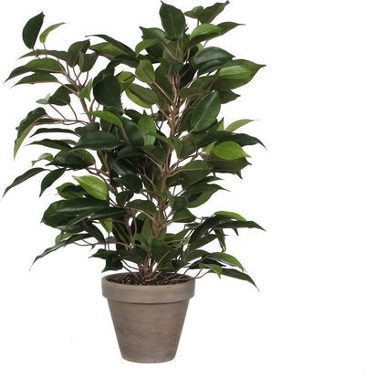 Mica Dekorationen Ficus Natsja Kunstpflanze grün