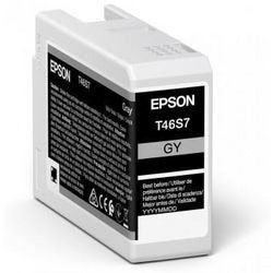 Epson Original Tintenpatrone UltraChrome Pro 10 C13T46S700 Grau