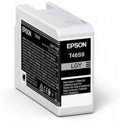 Epson Original Tintenpatrone UltraChrome Pro 10 C13T46S900 Hellgrau