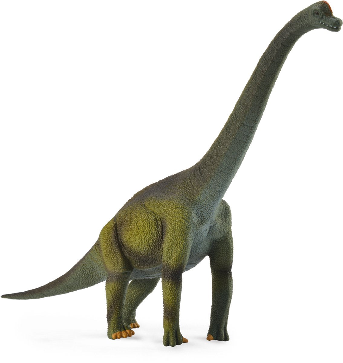 Collecta Figur - Brachiosaurus - (l) - Vorgeschichte - handbemalt - Dinosaurier - Miniatur