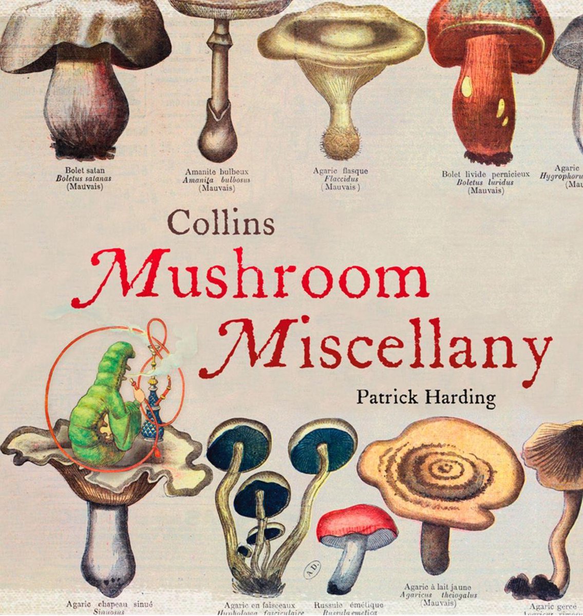 Collins-Pilz-Verschiedenes