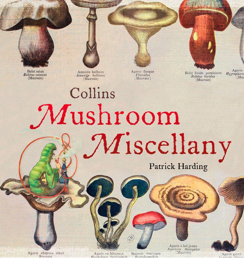 Collins-Pilz-Verschiedenes