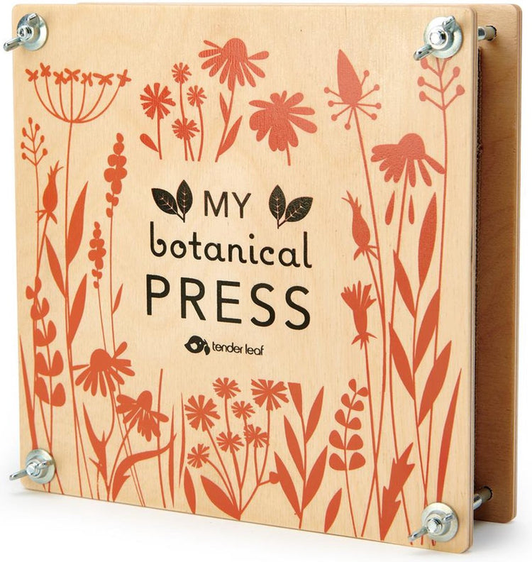Zarte Blattblütenpresse – meine botanische Presse +3 Jahre