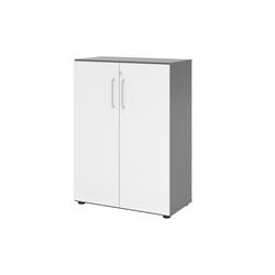 Bach Cabinet Hammerer V938T3 G W BS Graphit