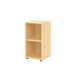 Bach Cabinet Hammerer V924RE 3 Ahorn