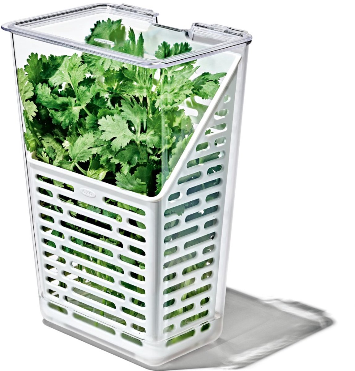 Oxo - Frischebox - Kräuter