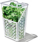 Oxo - Frischebox - Kräuter