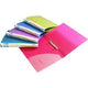 Ringbinder Rapesco 25mm 2-Ring hell 10 Stück