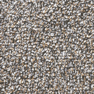 Trockenlaufmatte Aqualuxe Granit 50 x 80 cm Fußmatte