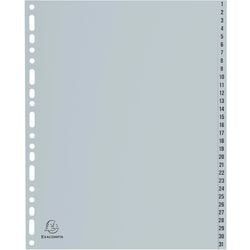 Tabs Exacompta 1-31 grau