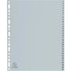 Tabs Exacompta 1-31 grau