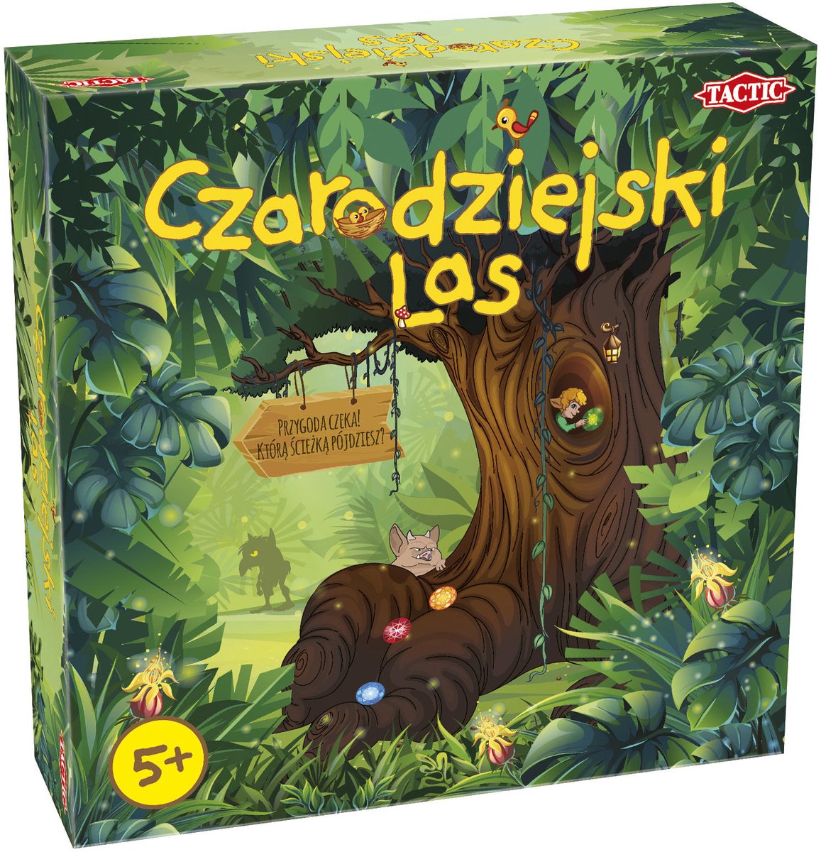 Taktik Czarodziejski lesen