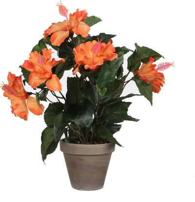 Glimmerdekorationen Kunstpflanze Hibiskus – Orange – H40 x T30 cm – grauer Topf – Kunstpflanze – Kunstpflanzen Kunstpflanzen mit Blumen