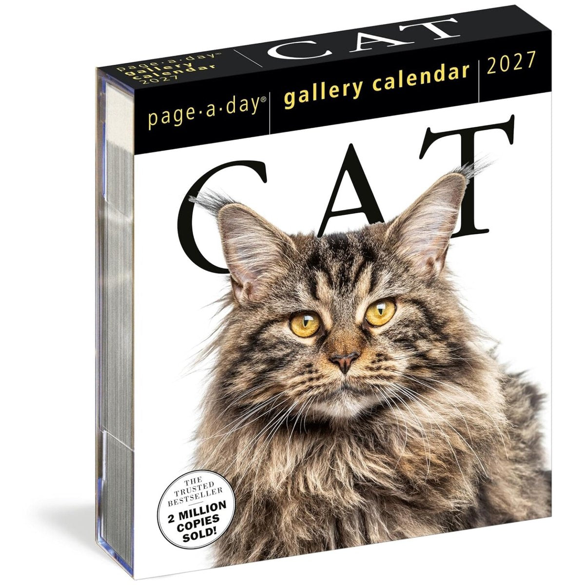 Cat page-a-day® Galeriekalender 2027