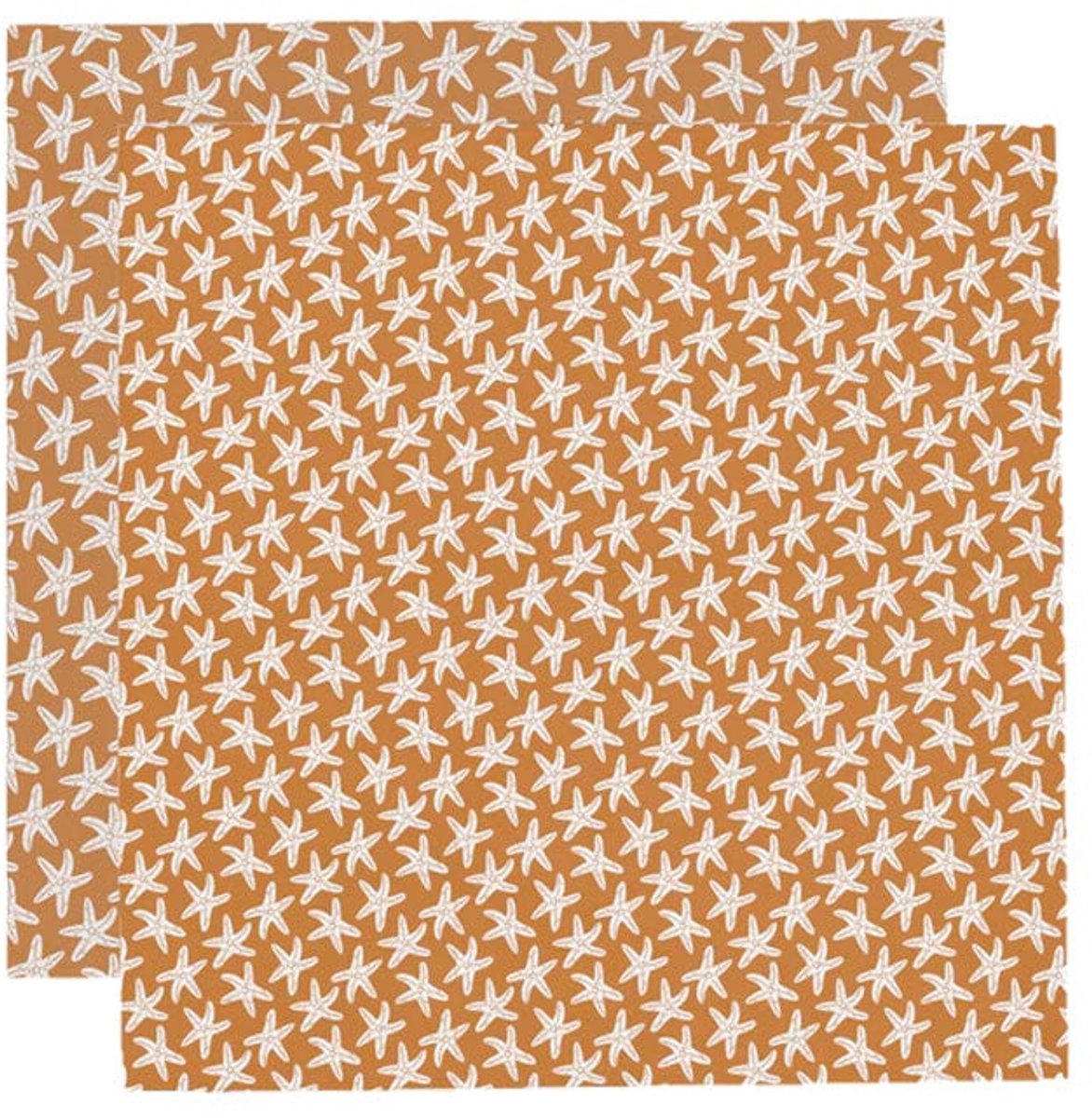 Seastar | Orange hydrophile Tücher 110 x 110 cm - 2 Teile