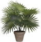 Glimmerdekorationen künstlicher Palmenstrauch – grün – H30 x T35 cm – Top-Qualität
