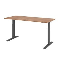 Bach Sitz-Steh-Schreibtischhammer VXMKA19 N G mehrfarbig 1800 x 800 mm