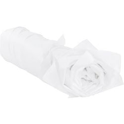 Seidenpapier Raja Pamb Papier Witz