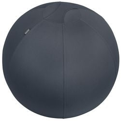 Sitzball Leitz Ergo Cozy 5279