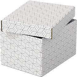 Aufbewahrungsbox Esselte 628280 klein 7 l weiß