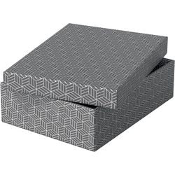 Aufbewahrungsbox Esselte 628285 mittelflach 9 l grau