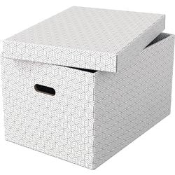 Aufbewahrungsbox Esselte 628286 groß 55 l weiß