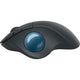 Logitech-Maus 910-006221 schwarz