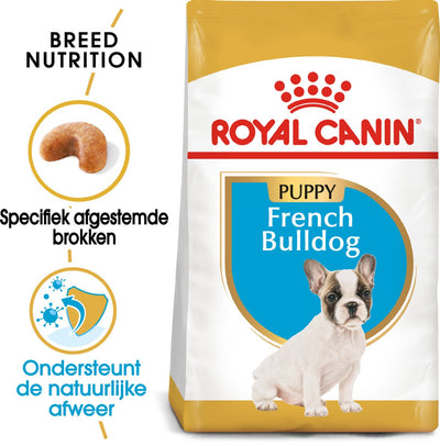 Königlicher Hund