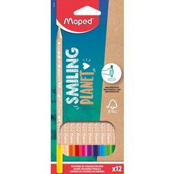 Buntstifte kartiert 12 Stück