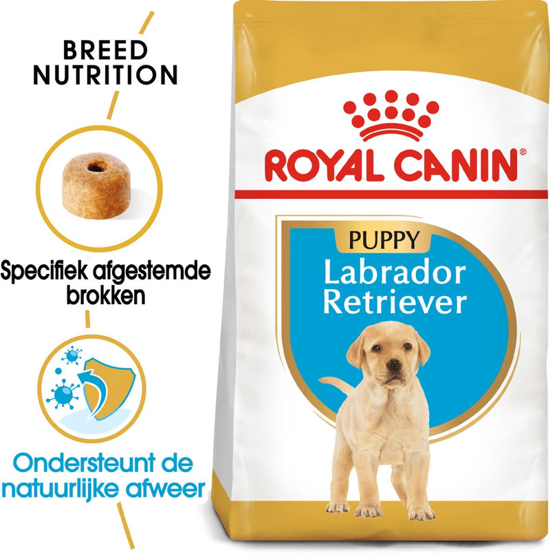 Königlicher Hund