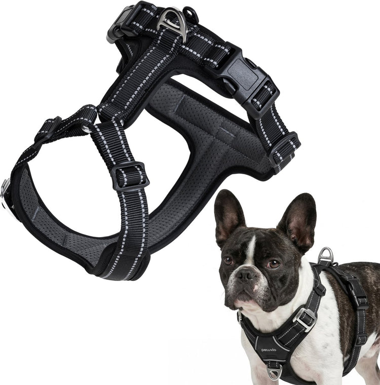 Peluvio Mate – Hundegeschirr mit Reflexion – Größe S – strapazierfähiges Nylon – ergonomisches Schutzgeschirr – rostfreie Schnallen – schnell trocknend, wetterfest – Komfortkontrolle für aktive Hunde