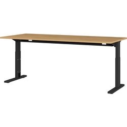 Sitz-Steh-Schreibtisch Germania 4253-582 mehrfarbig 750 mm (H)