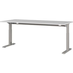 Sitz-Steh-Schreibtisch Germania 4253-583 grau 750 mm (H)