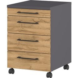 Rollwagen Germania 4251-564 braun 610 mm (H)