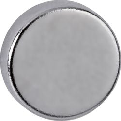 Magnete Maul 6166396 Silber 10 Stück