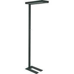 Stehleuchte Maul 8258690 Mauljuvis schwarz