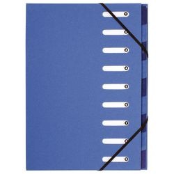 Sortiermappe Exacompta 52982e A4 hellblau