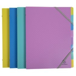 Sortiermappe Exacompta 56190e A4 Farbsortiment