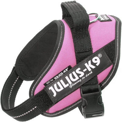 Julius K9 weltberühmter IDC-Stromkabelbaum für Textetiketten, rosa, Größe: Mini