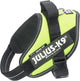 Julius K9 Julius-K9 IDC Power Harness – Hundegeschirr – S – Mini – Neon