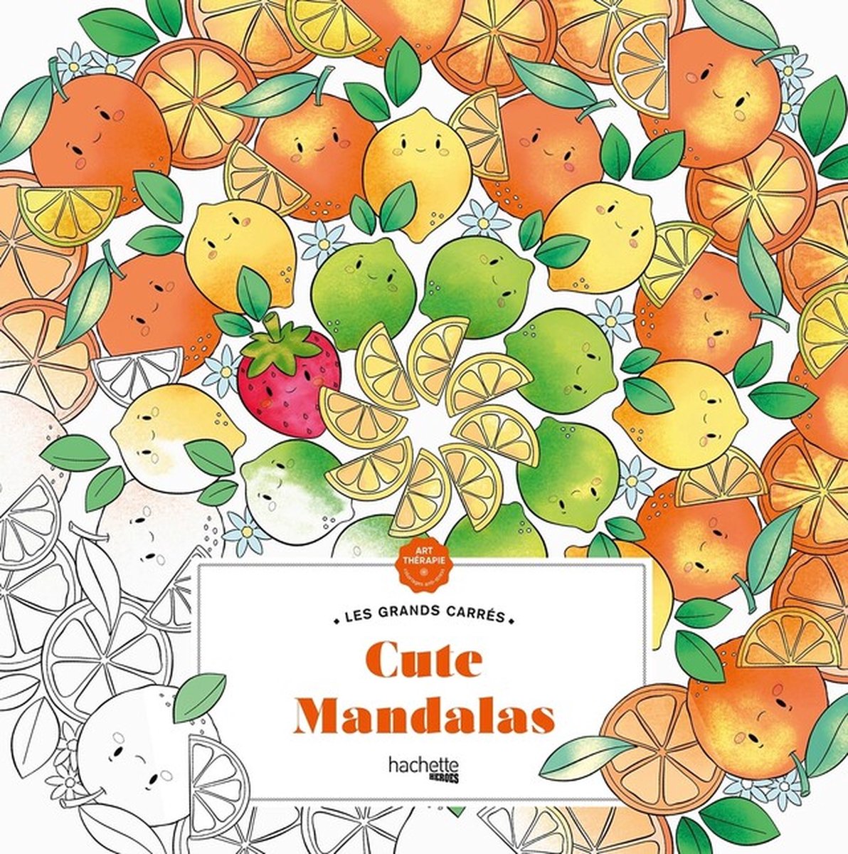 Hachette Heroes Les Grands Carrés süße Mandalas – Malbuch für Erwachsene