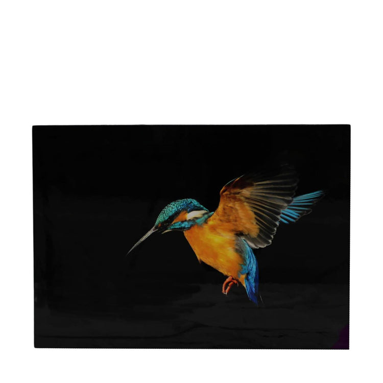 Dijk Natural Collections Wandkunst, Eisvogel, Leinwand, 58 x 2,5 x 78 cm
