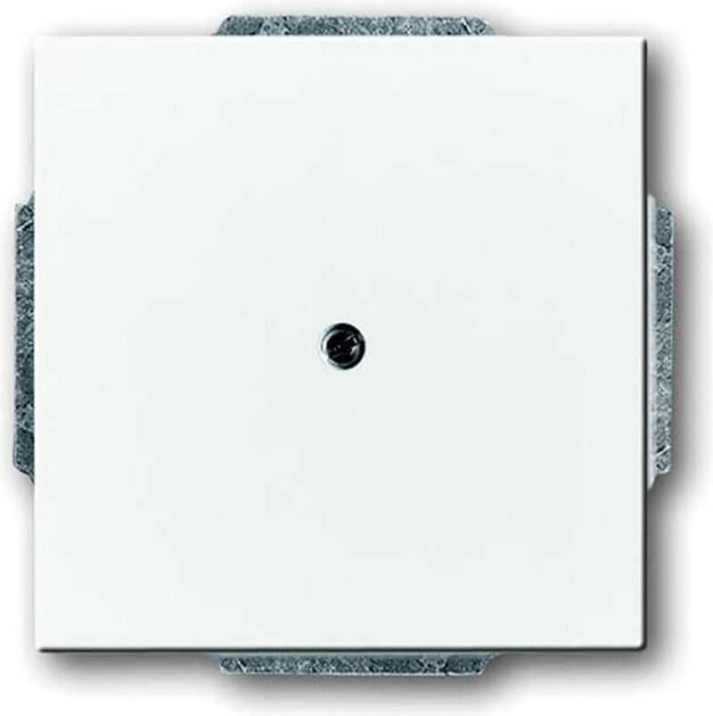 Busch-Jaeger ABB Future Solo Bedienelement Zentralplatte Schaltanlage – 2cka001710a3161 – e2eyd
