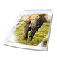 Showtaschen langlebig 265819 transparent