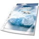 Strapazierfähige Showtaschen 268219 transparent