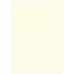 Einband Fellowes 5370004 Pulp Cream