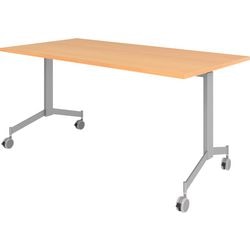 Bach Hammerer Klapptisch VKF16 6 SNL Holz, Metall