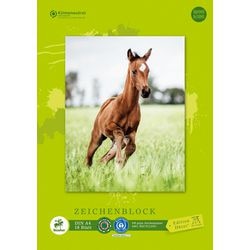 Grafischer Zeichenblock Staufen Dürer 055429000 103 g m² Papier